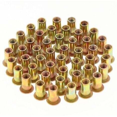 150 Pièces Écrou à Rivet M5 Fileté à Tête Plate, Écrous à Riveter Fileter, Assortiment M5 Rivet Inserts Filetés pour Métal Plastique (10 mm x 13 mm)