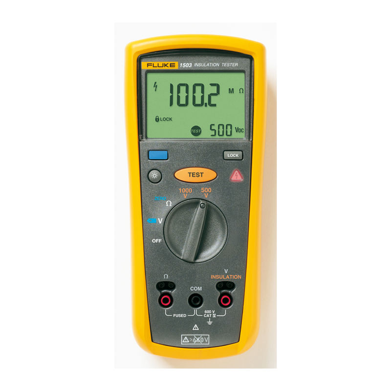 

Medidor de aislamiento 1000 V FLUKE 2427883