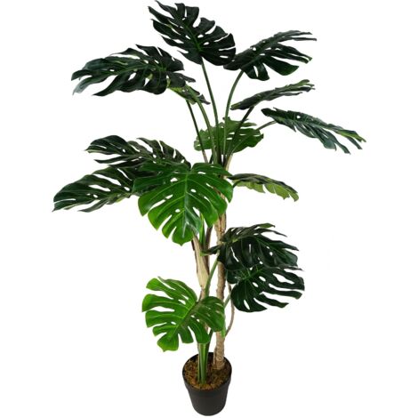 150cm (5ft) Luxury Monstera Cheese Plant Black Pot