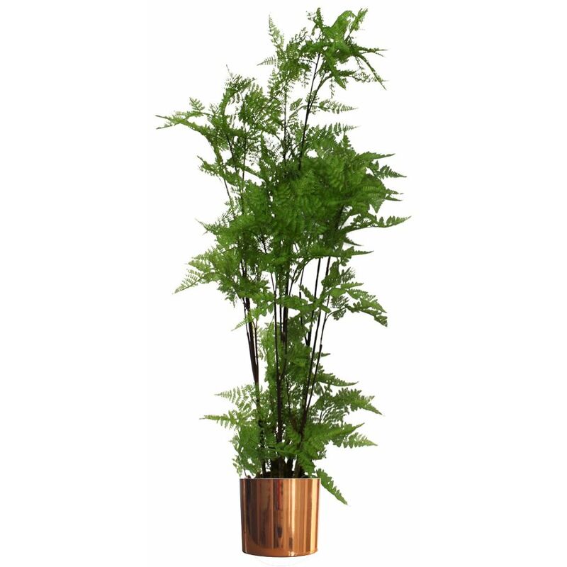 Leaf - 150cm Artificial Natural Extra Large Fern Foliage Plant with Copper Metal Plater