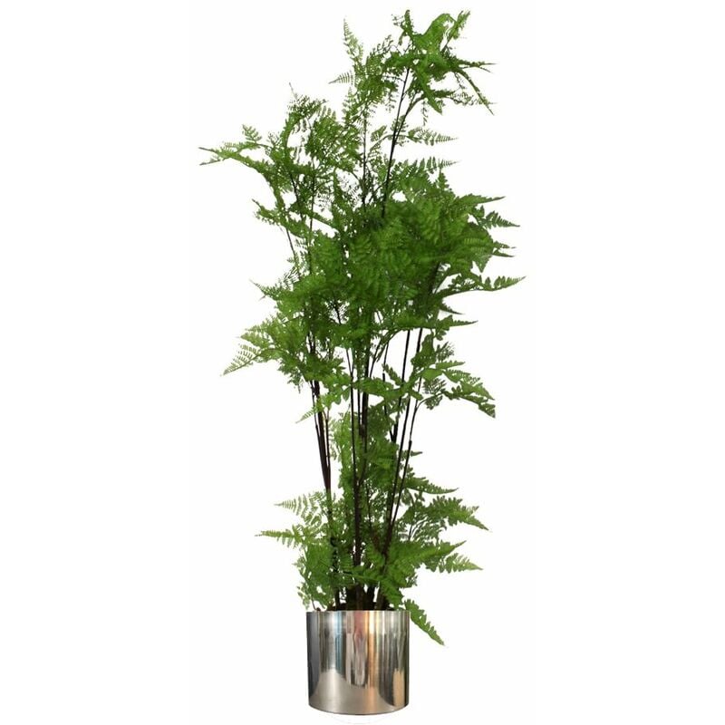 Leaf - 150cm Artificial Natural Extra Large Fern Foliage Plant with Silver Metal Plater