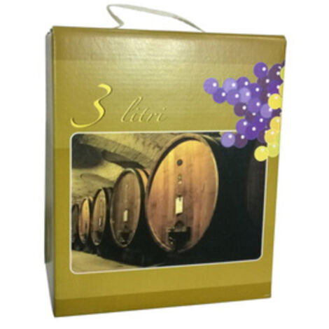 15PZ CARTONE COLORATO CON MANICO PER SACCA BAG 3 L