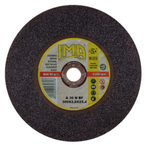 15PZ DISCO X TRONC.FERRO IMA DIAMETRO 300X2,8