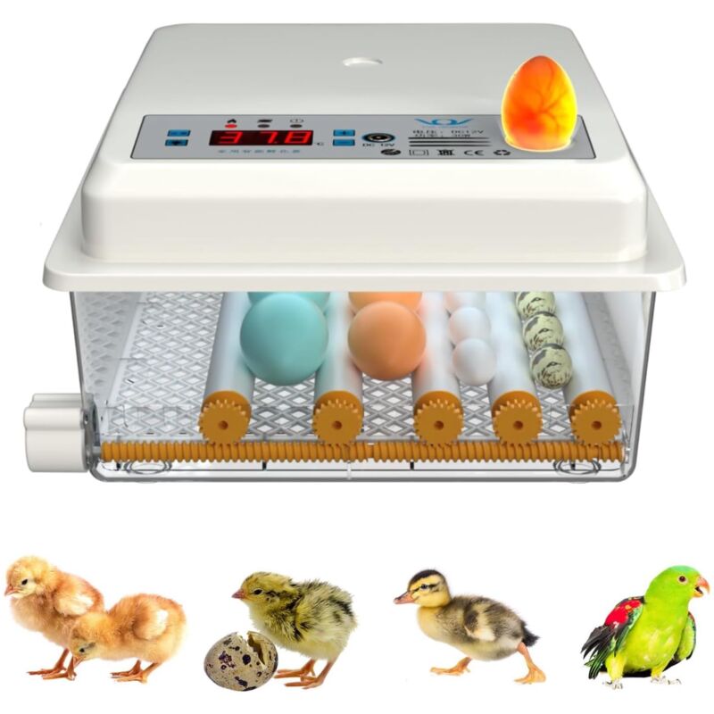 16 œufs Couveuse Oeuf Automatique Numérique Incubateur d'oeufs de Ferme Retournement Automatique des œufs de Poule Volaille Contrôle de la