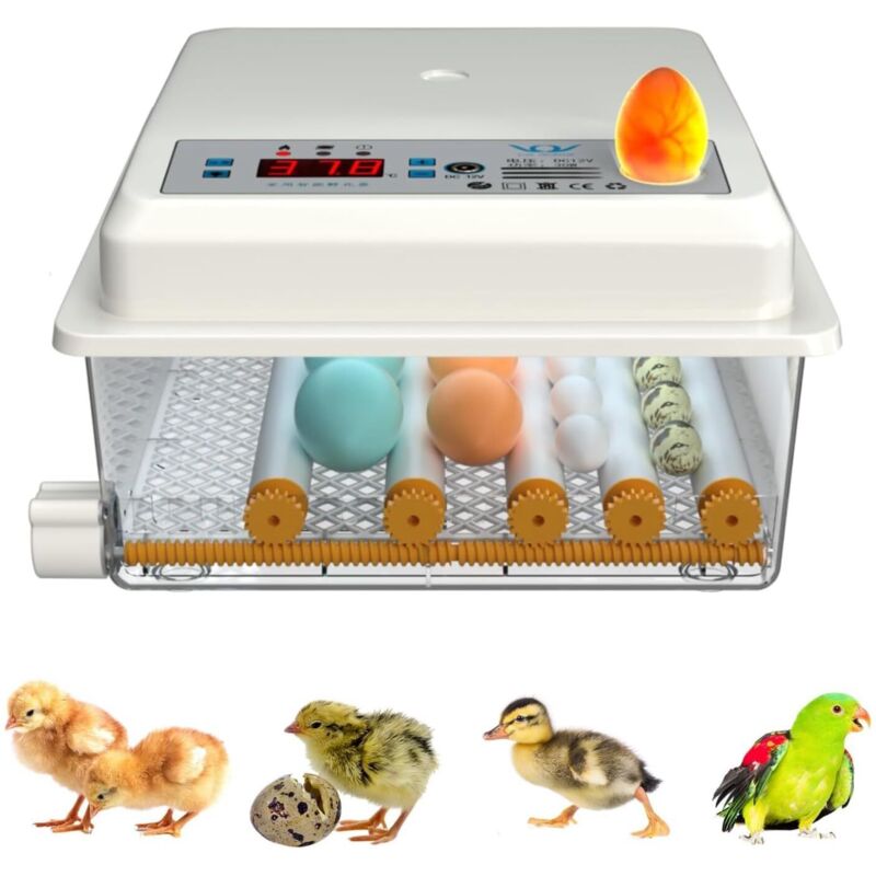 16 œufs Couveuse Oeuf Automatique Numérique Incubateur d'oeufs de Ferme Retournement Automatique des œufs de Poule Volaille Contrôle de la