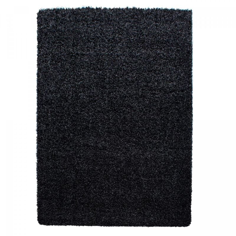 Jadorel - Tapis poils longs shaggy Ø120cm noir tissé rond motif uni uni l