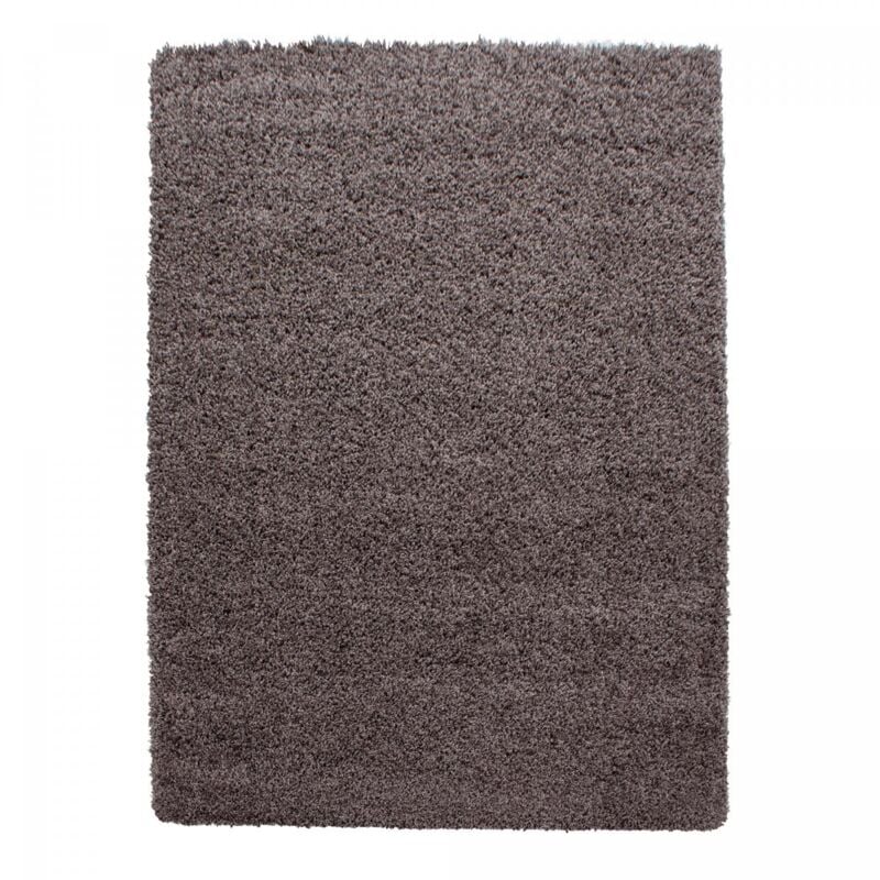 Jadorel - Tapis poils longs shaggy 300x400 taupe tissé rectangle motif uni uni l