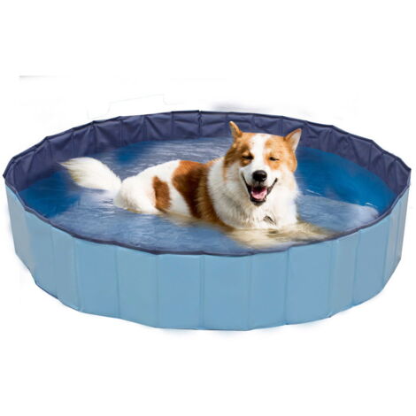 160x30 h cm: Piscina gioco rigida colore blu per cani