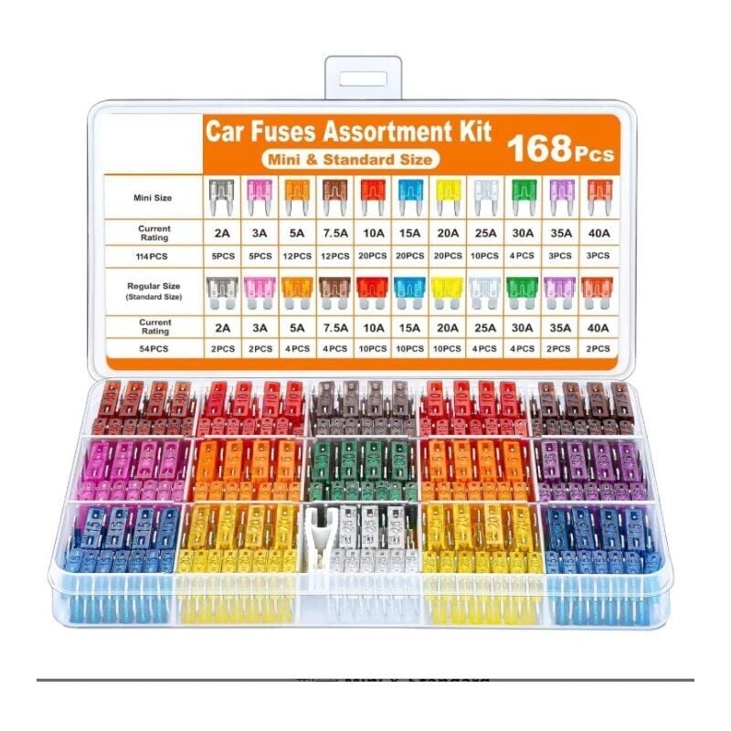 168Pcs Fusible Voiture Set - pour Fusibles Auto/Truck/RV/Camion/Moto (2A 3A 5A 7.5A 10A 15A 20A 25A 30A 35A 40A) - Mini fusibles de voiture et