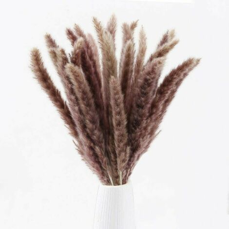 17" de alto Natural Brown Pampas Grass Plantas secas Fake Pampas Grass Bouquet Arreglo de flores secas para Boho Home Centerpiece Wedding Office Jarrón Decoración