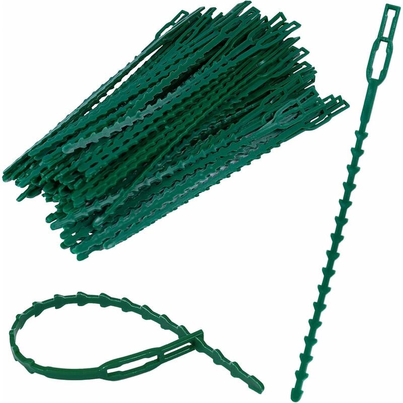 Linghhang - 170 mm x 8 mm, vert 50 attaches et supports pour plantes réglables - green