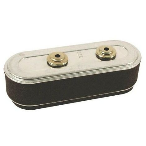 17211ZE7W03 - Filtre à Air pour moteur HONDA