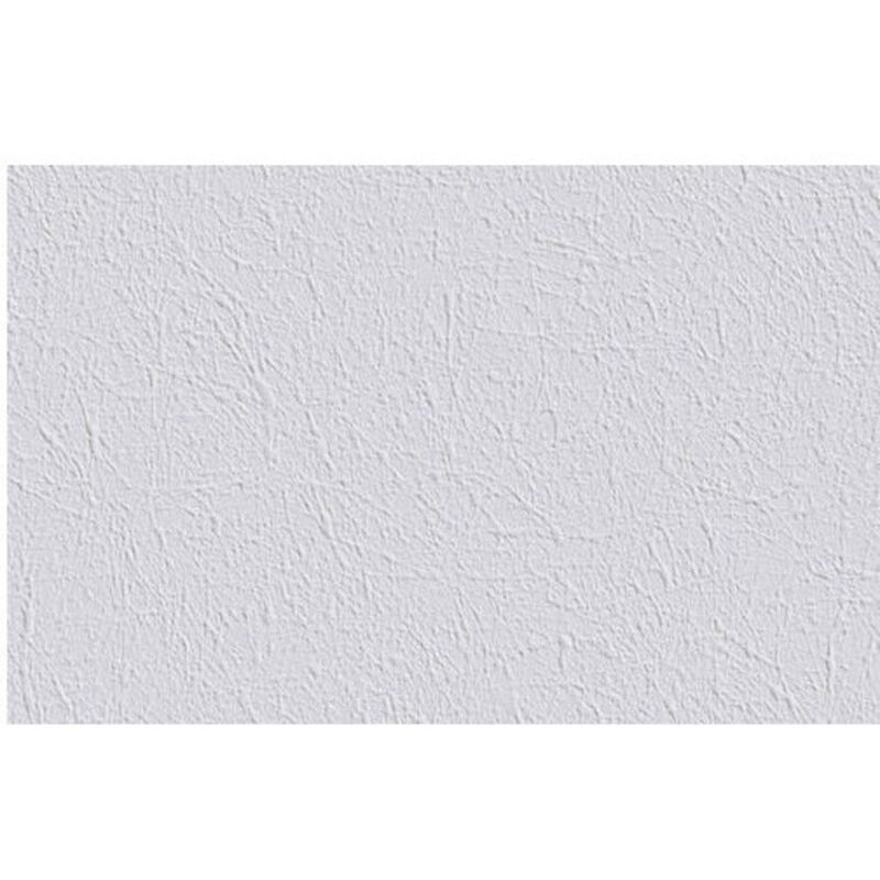 18, 75 Erfurt Intissé Zum Bemalen Vliesfaser 735 Roulade 25x0, 75 M - Dle