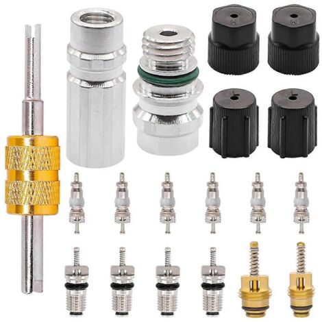 19 pièces de pièces pour le service de remplacement des noyaux de tiges de soupapes de réfrigération R12/R134a pour climatisation automobile