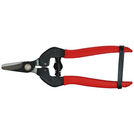 1BL FORBICI COGLIUVA cm 16 - pz. 1