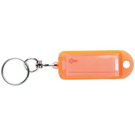 1BL TARGHETTA PORTACHIAVI CON GIVOLARE 'TIPO SILCA' mm 55 x 20 - pz 10
