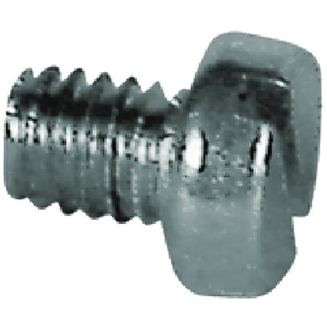1BL VITE FERMADADO PER FORBICI VIGNA TC  4 x 6  - pz. 50