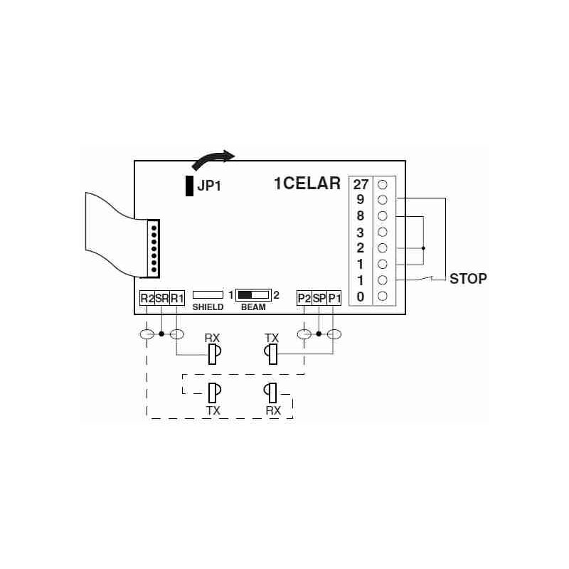 1CELAR ampl.photocellule rex