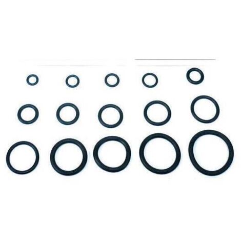 1CF O-RING 13,60X2,70 X CANNA LAVELLO PZ 100