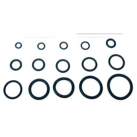 1CF O-RING 15,10X2,70 X CANNA LAVELLO PZ 100