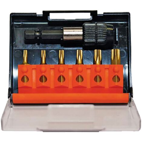 1CF PORTAINSERTO CON INSERTI TORX 7 pz