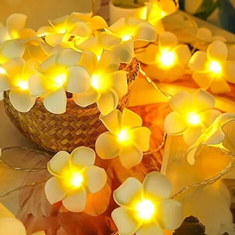 1Guirlande Frangipanier 3m Lumière Blanche Chaude,20 LED - Décoration Intérieur/Extérieur: Mariage, Noël, Fêtes
