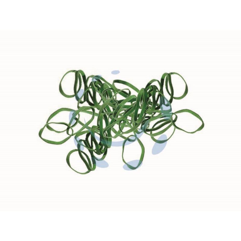 Image of 1KG elastici gomma verde - MM.100 spessore MM.1,6X1,5