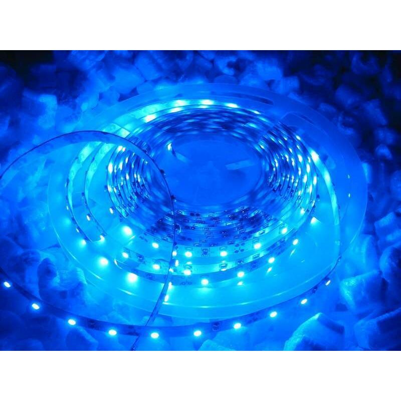 Image of 1m LED STRIP STRISCIA LED BLU BLUE 12V 60LED/m