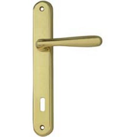1PA MANIGLIA KAROL CON PLACCA IN ZAMA FINITURA OTTONE LUCIDO - mm.90 foro normale