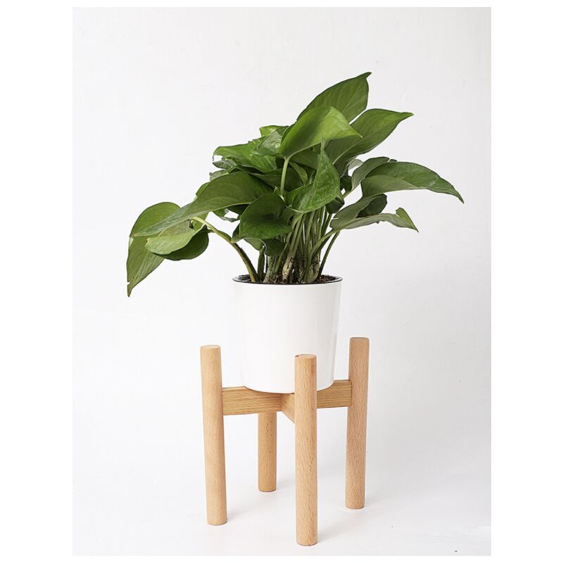 Neoferr - Supports pour plantes, supports pour pots, supports pour pots d'intérieur et d'extérieur pour terrasses, salons, bureaux, jardins (à