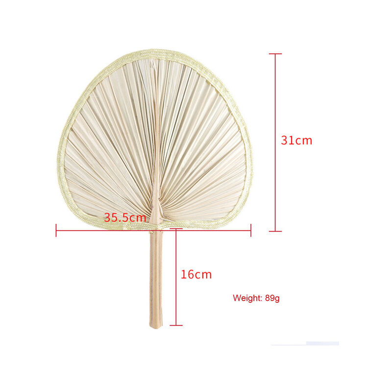 1pcs Palm Fan Leaf Dried Flower Palm Leaf Window