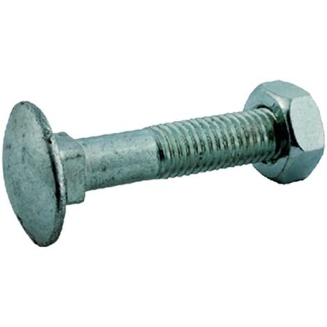 1PZ BULLONE ZINCATO TESTA TONDA T.T.Q.S.T.D.E. 12 x 160