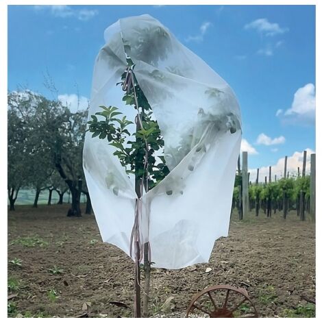 1PZ CAPPUCCIO ANTIGELO IN TNT PER PIANTE cm. 160x320