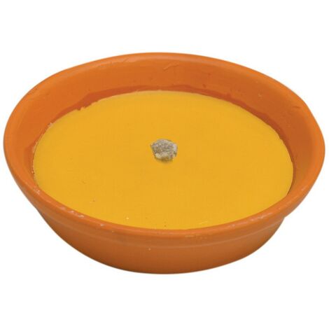1PZ CITRONELLA IN COCCIO ANTIVENTO D 11 CM