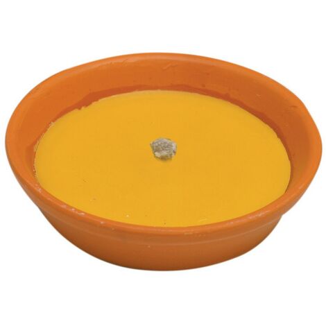 1PZ CITRONELLA IN COCCIO ANTIVENTO D 18 CM
