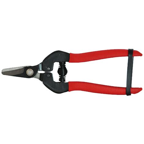 1PZ FORBICI COGLIUVA cm 16