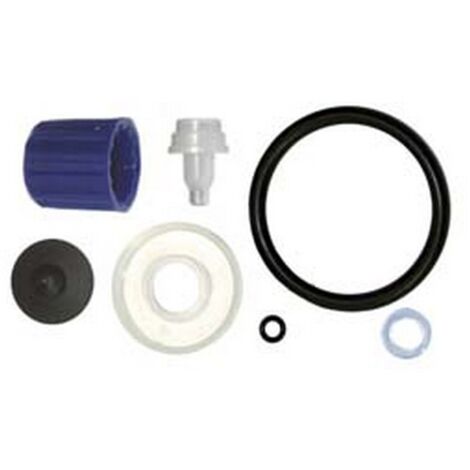 1PZ KIT RICAMBI PISTONE PER POMPA A PRESSIONE MARY