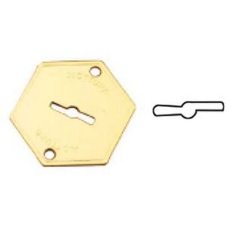 1PZ MOSTRINA ESTERNA IN OTTONE 95215 - mm.52x64 (95215000C1)