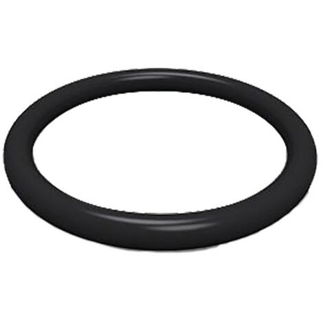 1PZ O-RING PER NIPLES M20 x 2