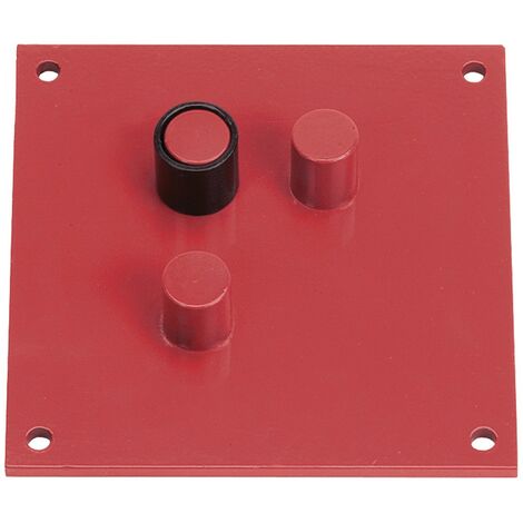 1PZ PIASTRA PIEGAFERRO cm 25 x  20 ø mm 22