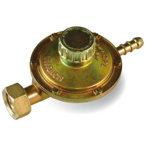 1PZ REGOLATORE GAS A TARATURA VARIABILE  portata 1 kg/h