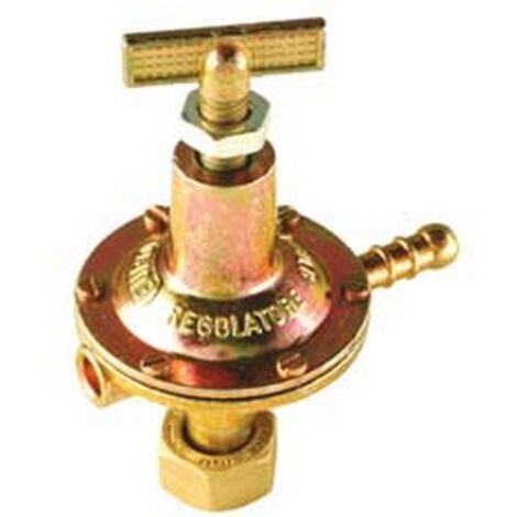 1PZ REGOLATORE GAS ALTA PRESSIONE SERIE HP480