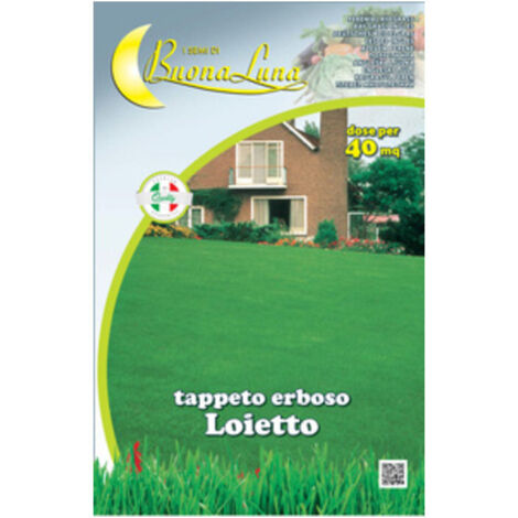 1PZ SEMI PRATO LOIETTO 1 KG