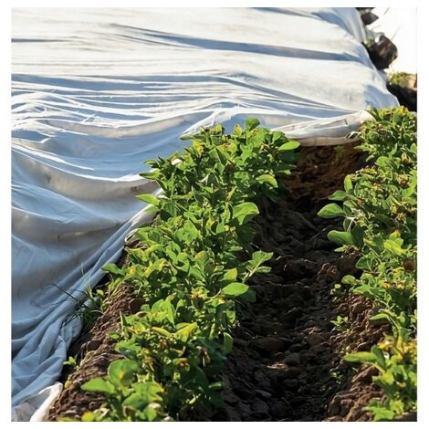 1RT TELO ANTIGELO IN TNT A ROTOLO PER SEMI E PIANTINE mt. 4,00x250
