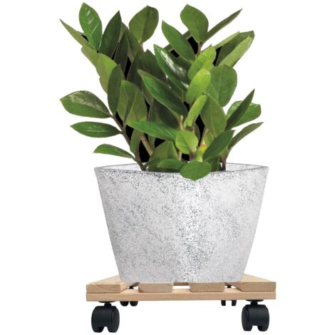 1x Rolluntersetzer eckig Pflanzenroller 30x30 cm - max. 120 kg Traglast - aus Buchenholz - Stabil & robust - Für Pflanztöpfe, Möbel & schwere Gegenstände