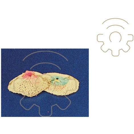 2 A crans de remplacement pour lampes A  cartouche de gaz