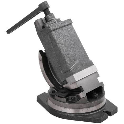 2-Achsen-Schraubstock Kippbar 100 mm