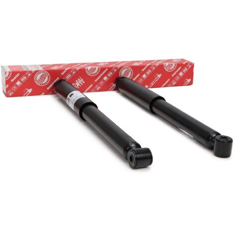 2 AMMORTIZZATORI posteriori MITSUBISHI PAJERO III CanvasTop