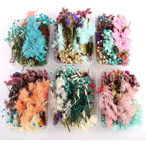 2 Boites Vraies Fleurs Sechees Naturelles Melangees Plusieurs Fleurs Sechees Assorties Pour Bricolage Artisanat Fait Main Decoration De La Maison Fleur D'Herbier Pour Collier Pendentif Bijoux Materiaux De Remplissage