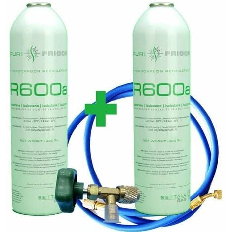 2 bouteilles de gaz réfrigérant R600 + tuyau + vanne isobutane 420gr